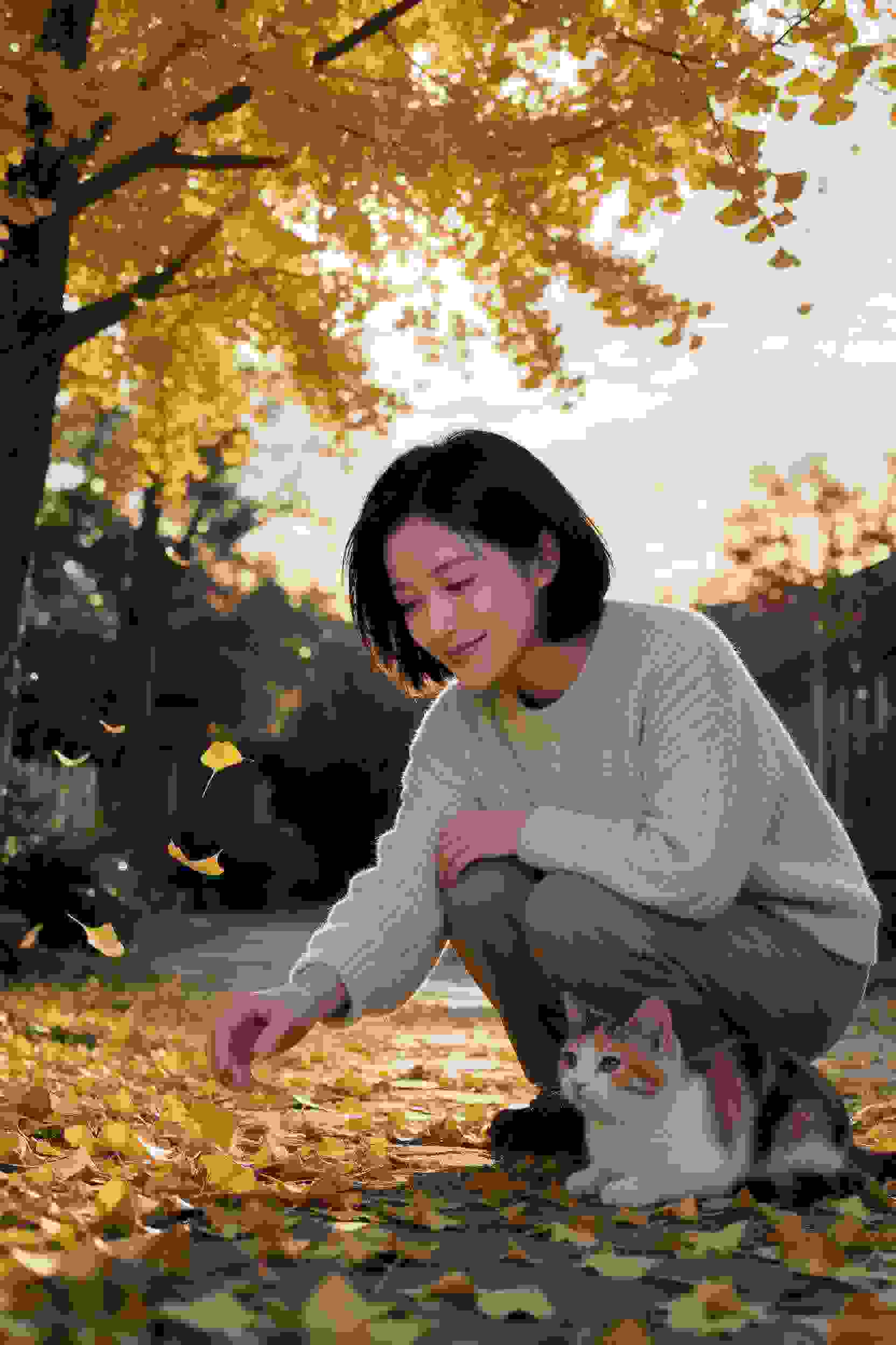 教练的故事